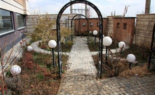فضای سبز حیاط