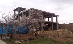 اسکلت بتونی