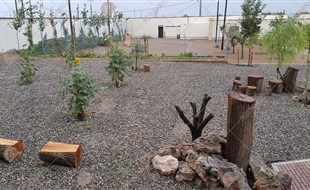محوطه سازی 